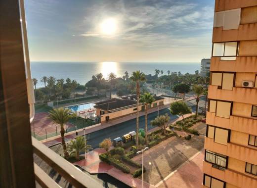 Apartment - Resale - Torrevieja - JJT-22443