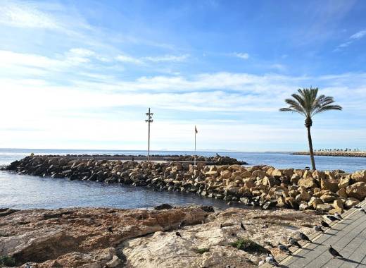 Apartment - Resale - Torrevieja - Paseo maritimo