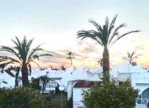Bungalow - Revente - Orihuela Costa - Las Mimosas