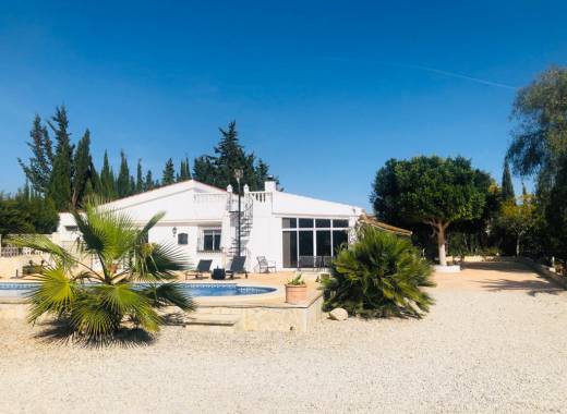 Country Villa - Resale - Crevillente - Crevillente