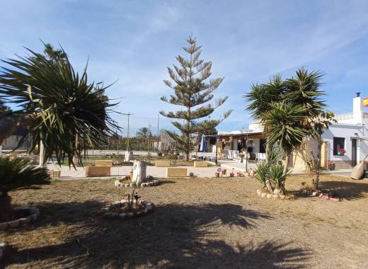 Finca / Country Property - Resale - Los Montesinos - LOS MONTESINOS