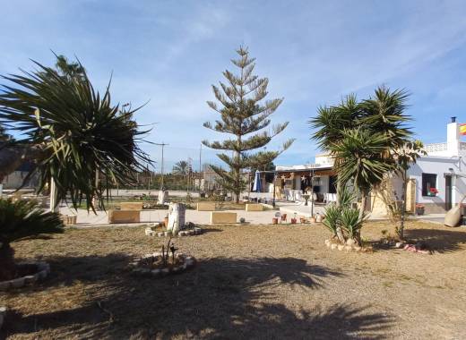 Finca / Country Property - Revente - Los Montesinos - ORE1456