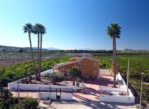 Finca / Country Property - Revente - Orihuela - Orihuela