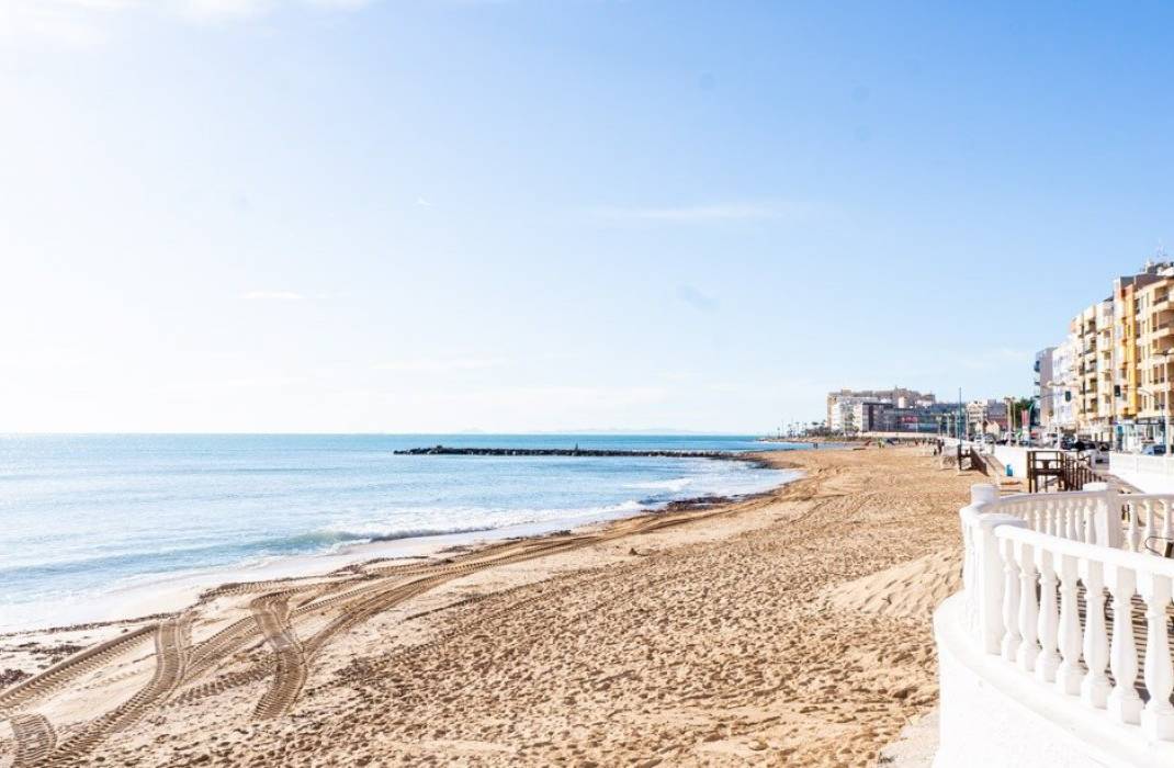 Nueva construccin  - Bungalow - Torrevieja - Lago jardin