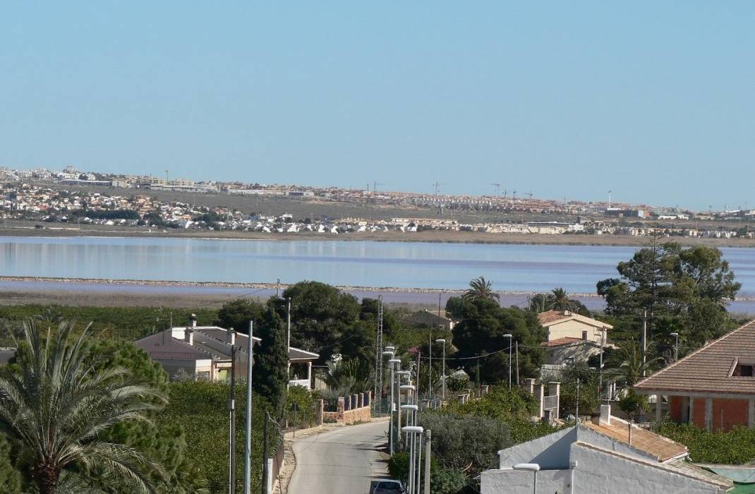 Nueva construccin  - Semi - Los Montesinos - La Herrada