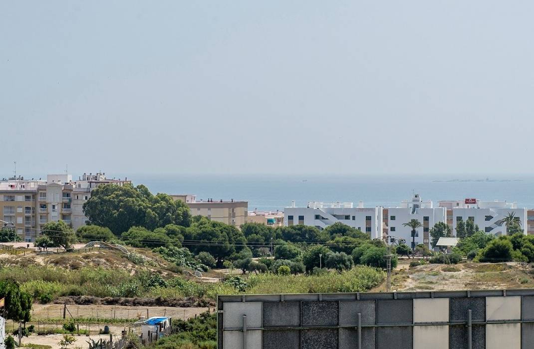 Nueva construccin  - Terraced house - Guardamar del Segura - Los secanos