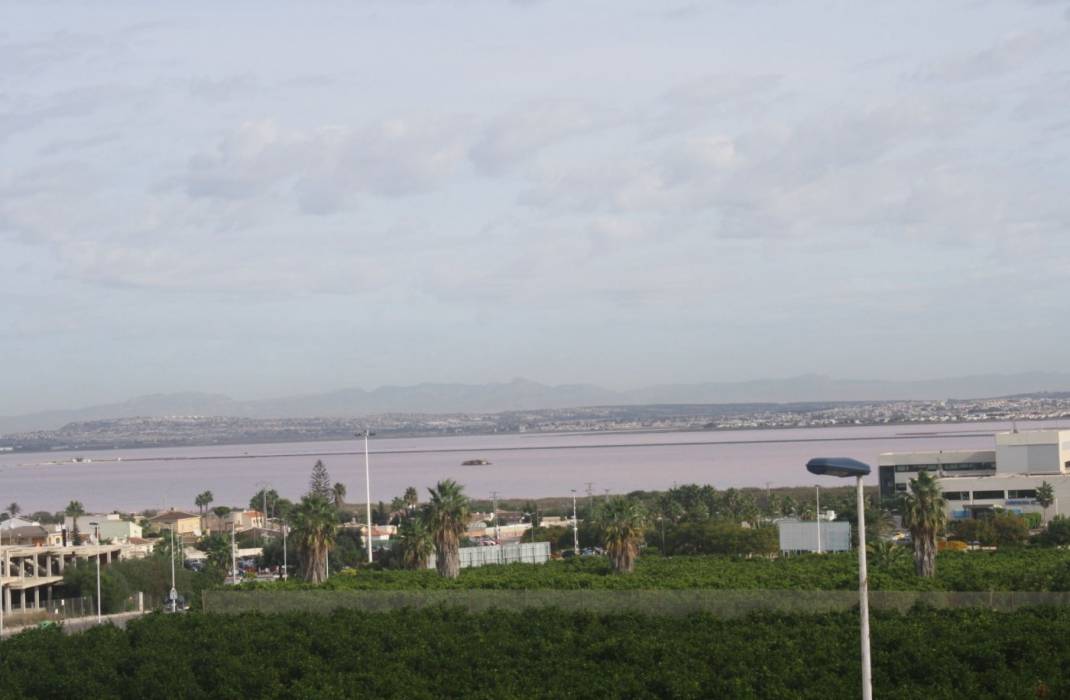 Nueva construccin  - Terraced house - Torrevieja - Los altos