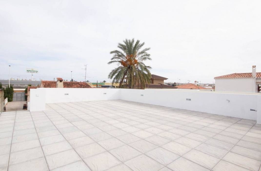 Nueva construccin  - Villa - Torrevieja - Torreta florida