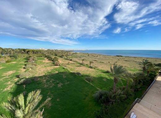 Piso - Venta - Torrevieja - Punta prima