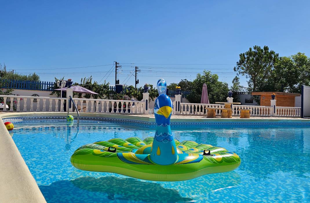 Resale - 5. Finca / Country Property - Crevillente