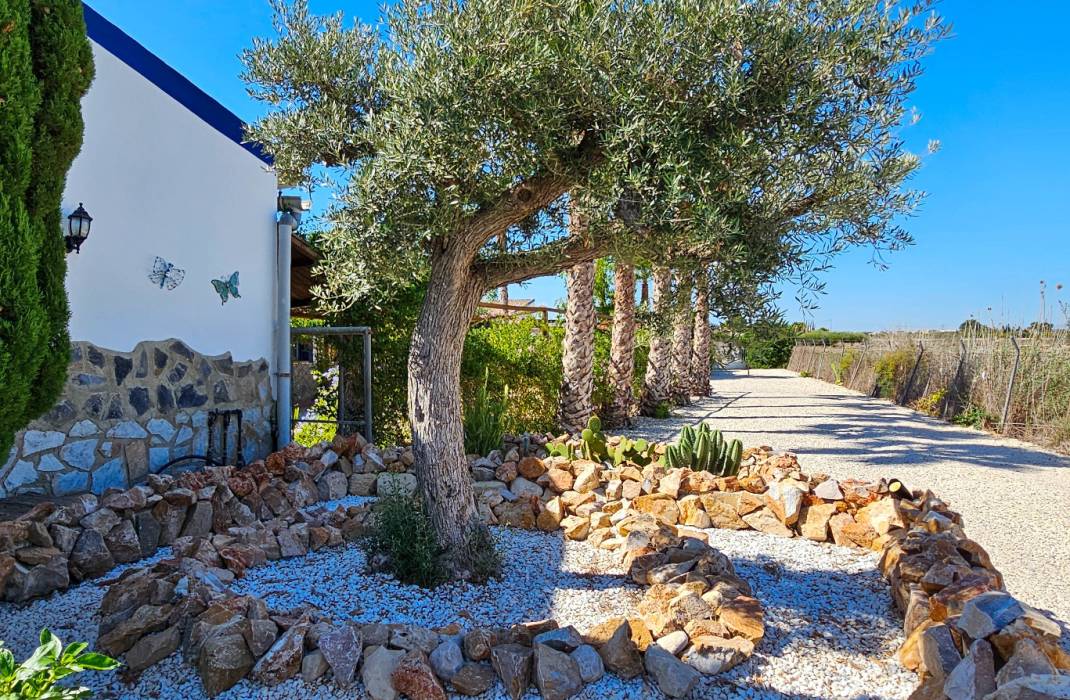 Resale - 5. Finca / Country Property - Crevillente