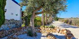 Resale - 5. Finca / Country Property - Crevillente