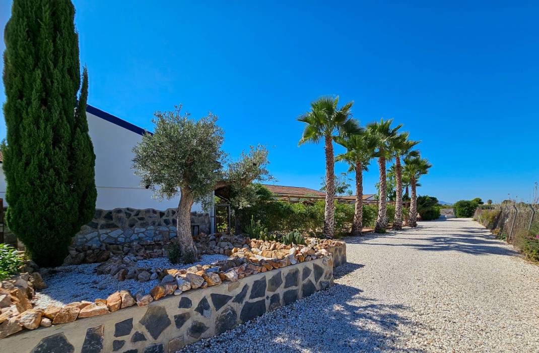 Resale - 5. Finca / Country Property - Crevillente