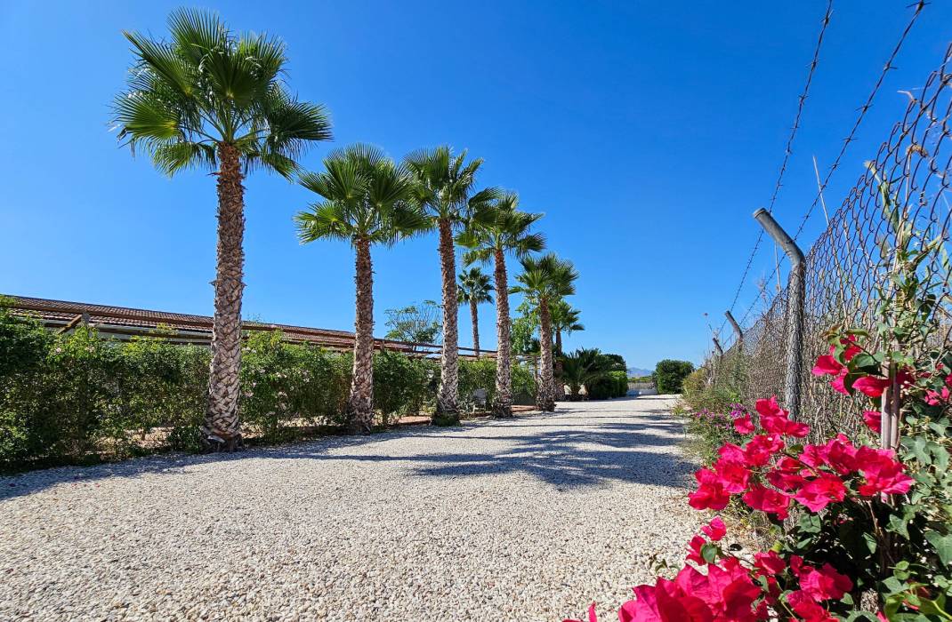 Resale - 5. Finca / Country Property - Crevillente