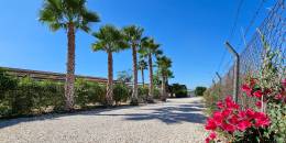 Resale - 5. Finca / Country Property - Crevillente