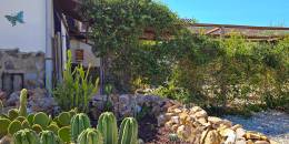 Resale - 5. Finca / Country Property - Crevillente