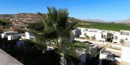 Resale - Apartment - Algorfa - La finca golf