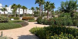 Resale - Apartment - Flat - Orihuela - Entre Naranjos Vistabella Golf