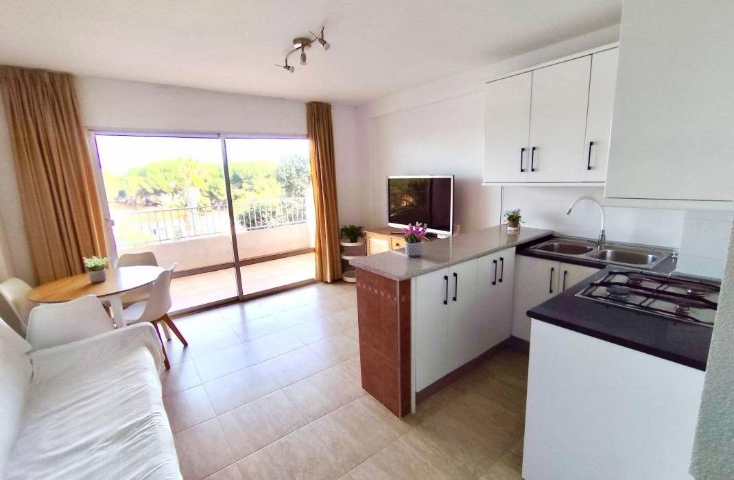 Resale - Apartment - Guardamar del Segura - Pinomar