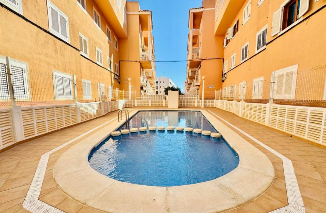 Resale - Apartment - La Mata - STS-5191 CALLE EMPERADORES