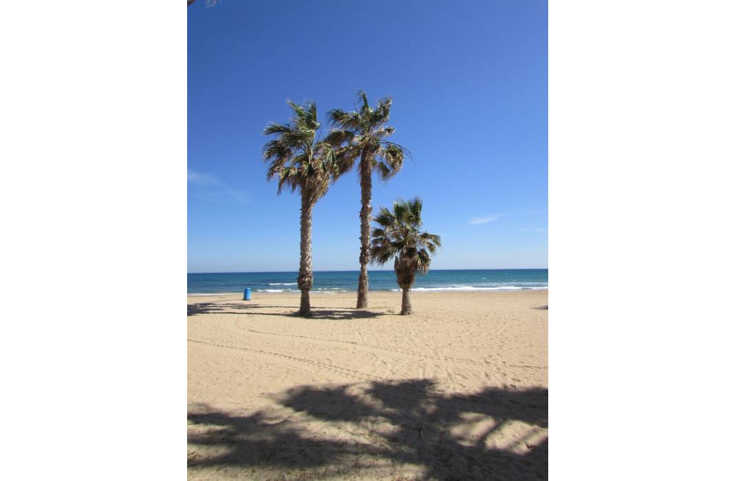 Resale - Apartment - La Mata