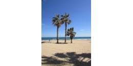 Resale - Apartment - La Mata