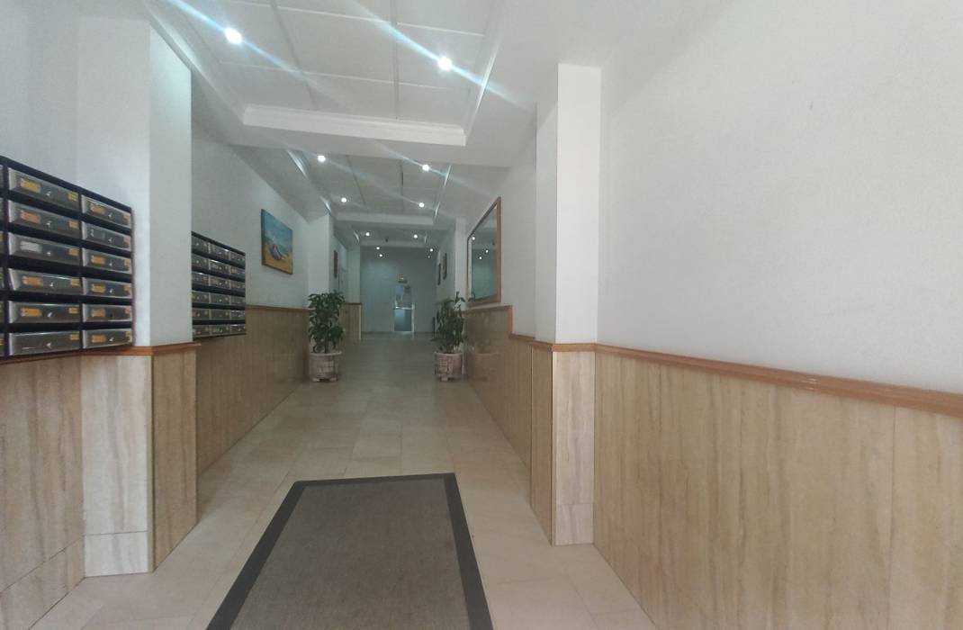 Resale - Apartment - Los Montesinos - LOS MONTESINOS