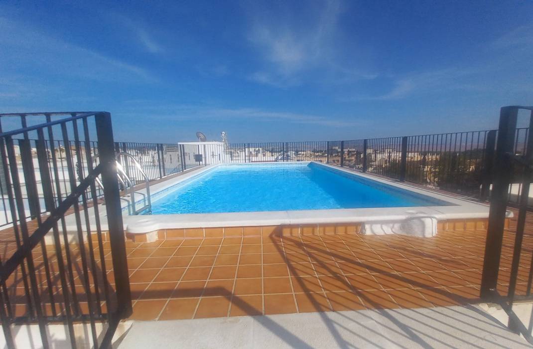 Resale - Apartment - Los Montesinos - LOS MONTESINOS