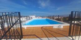 Resale - Apartment - Los Montesinos - LOS MONTESINOS