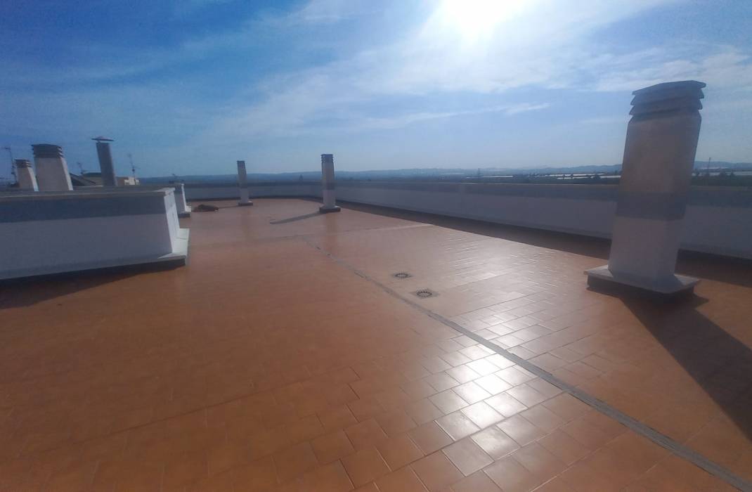 Resale - Apartment - Los Montesinos - LOS MONTESINOS