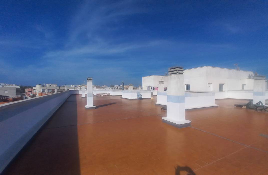 Resale - Apartment - Los Montesinos - LOS MONTESINOS