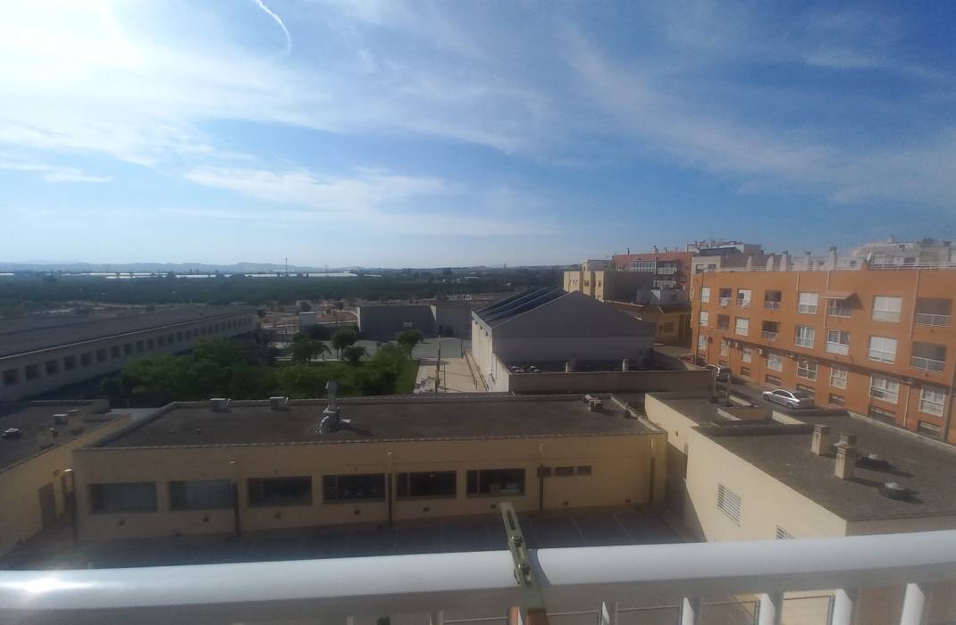 Resale - Apartment - Los Montesinos - LOS MONTESINOS