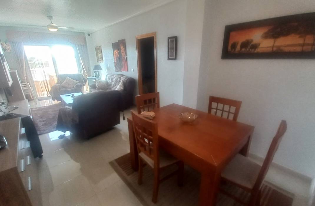 Resale - Apartment - Los Montesinos - LOS MONTESINOS