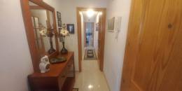 Resale - Apartment - Los Montesinos - LOS MONTESINOS