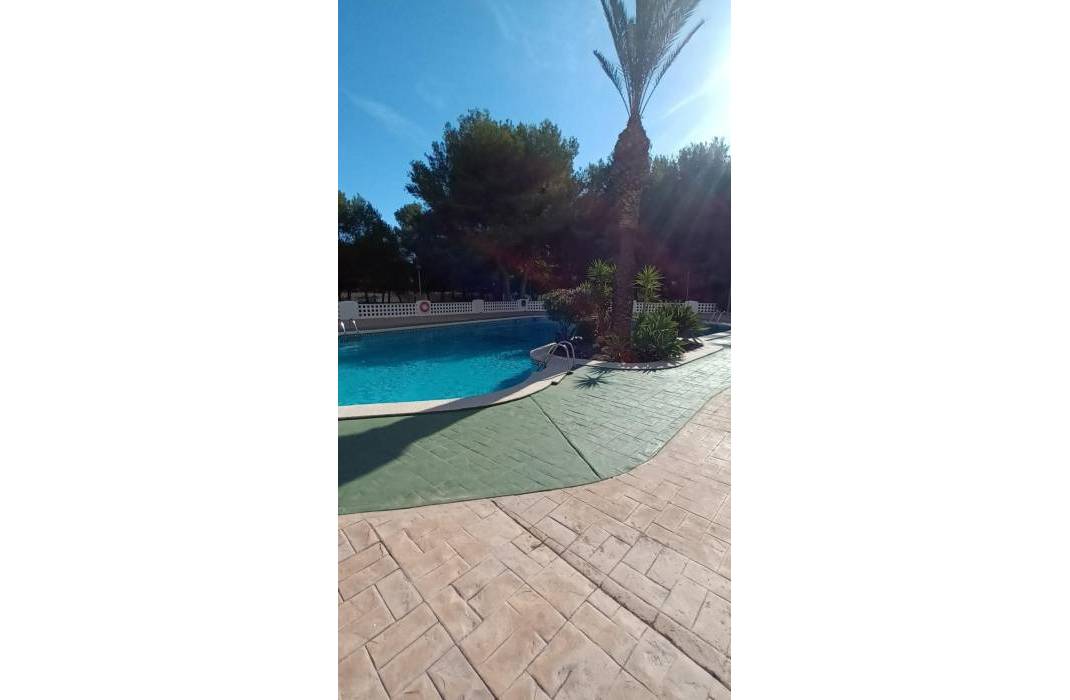 Resale - Apartment - Orihuela Costa - Altos de Campoamor