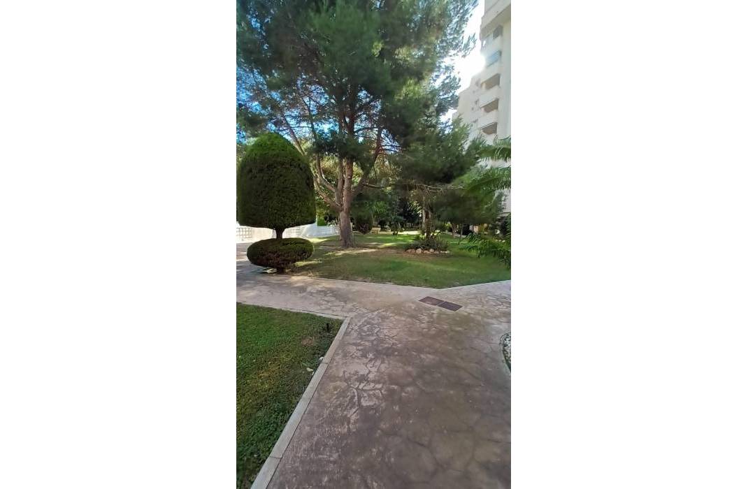 Resale - Apartment - Orihuela Costa - Altos de Campoamor