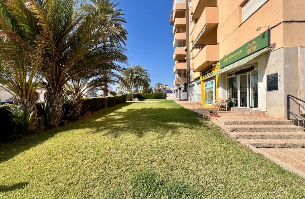 Resale - Apartment - Orihuela Costa - La Zenia