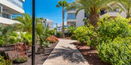 Resale - Apartment - Orihuela Costa - Los Dolses