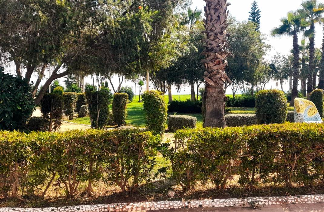 Resale - Apartment - Oropesa Del Mar