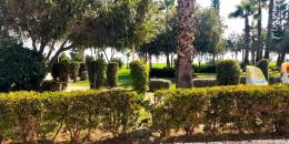 Resale - Apartment - Oropesa Del Mar