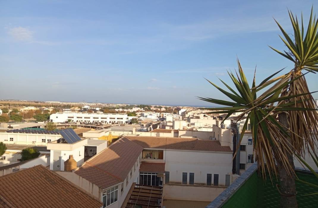 Resale - Apartment - Pilar de la Horadada