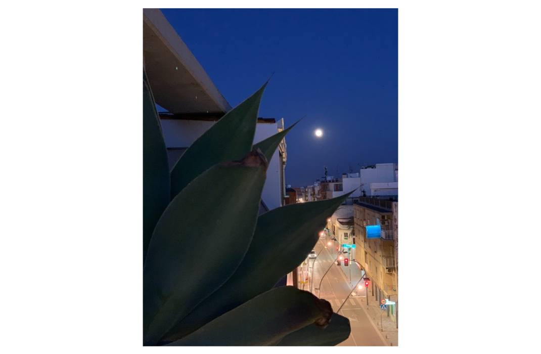 Resale - Apartment - Pilar de la Horadada