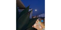 Resale - Apartment - Pilar de la Horadada