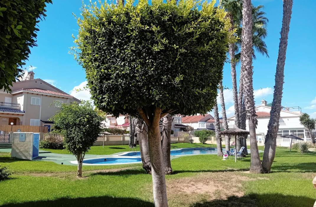 Resale - Apartment - Playa Flamenca