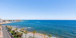 Resale - Apartment - Torrevieja - 0