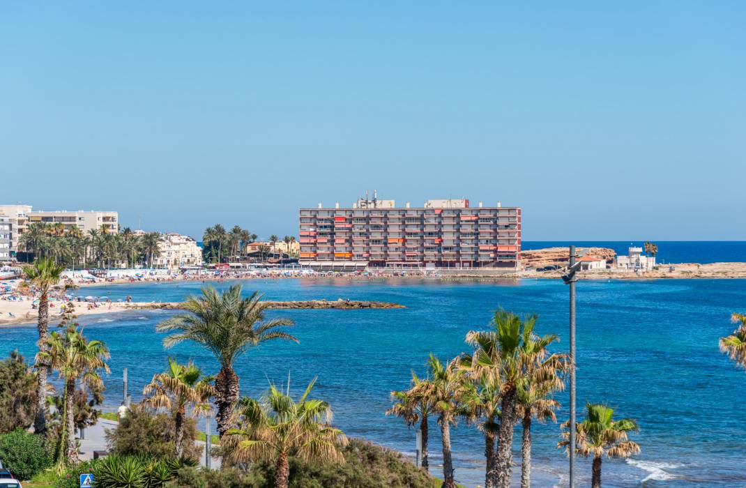 Resale - Apartment - Torrevieja - 0