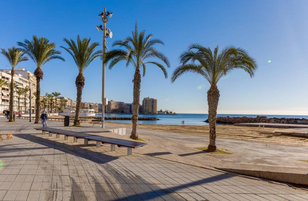 Resale - Apartment - Torrevieja - Avenida Delfina Viudes