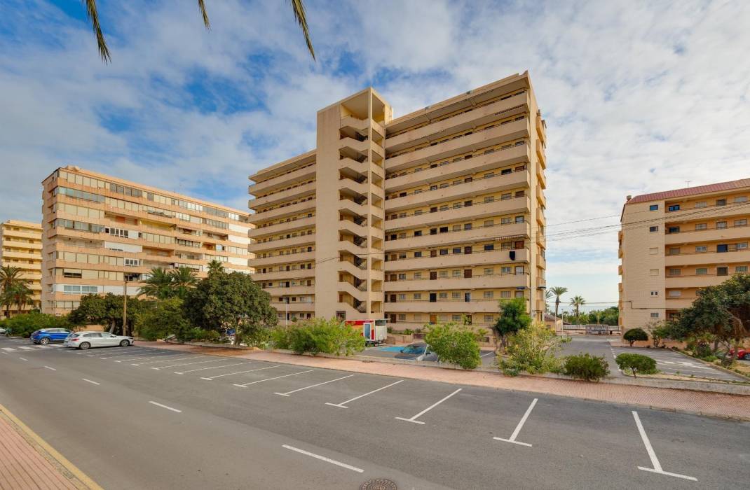 Resale - Apartment - Torrevieja - Cabo cervera