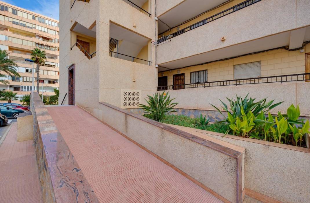 Resale - Apartment - Torrevieja - Cabo cervera