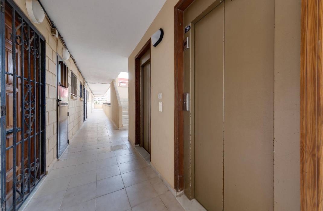 Resale - Apartment - Torrevieja - Cabo cervera